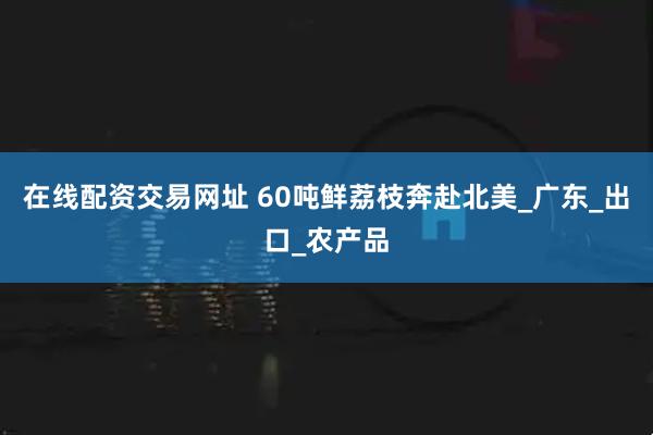 在线配资交易网址 60吨鲜荔枝奔赴北美_广东_出口_农产品