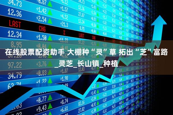 在线股票配资助手 大棚种“灵”草 拓出“芝”富路_灵芝_长山镇_种植